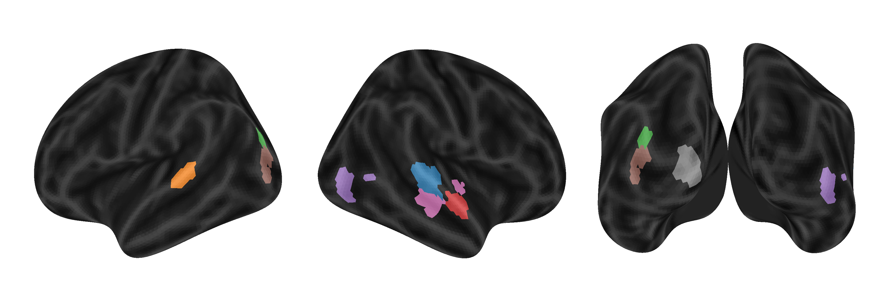 TRIBE v2 BOLD predictions