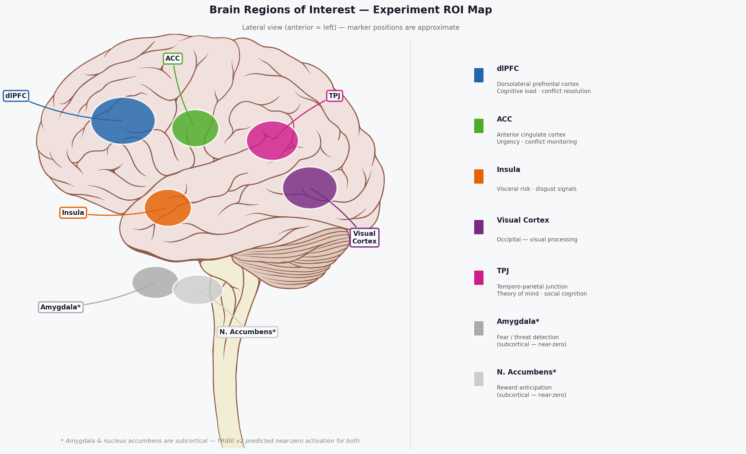 Brain regions of interest