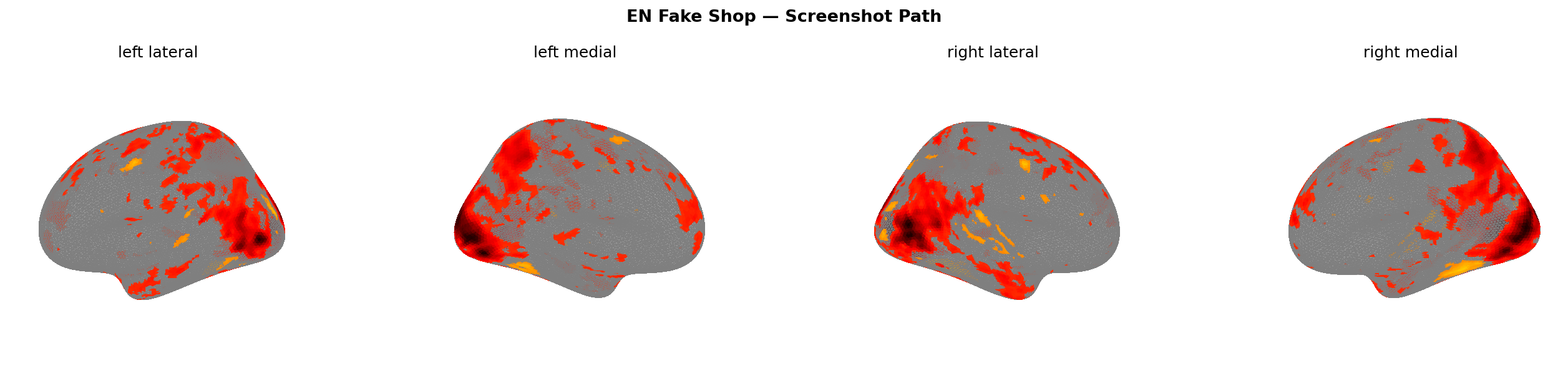 Fake shop screenshot brain map