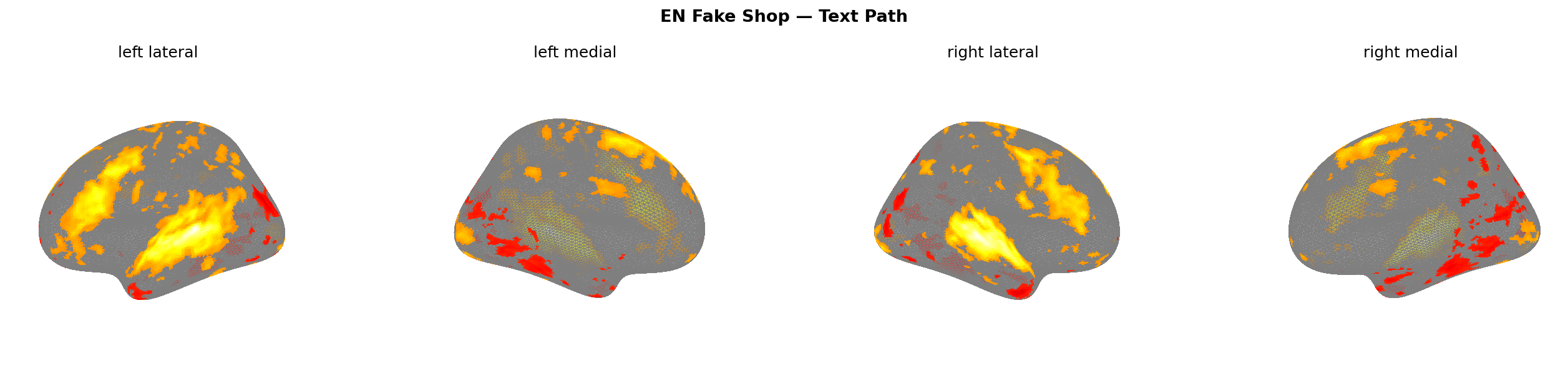 Fake shop text brain map