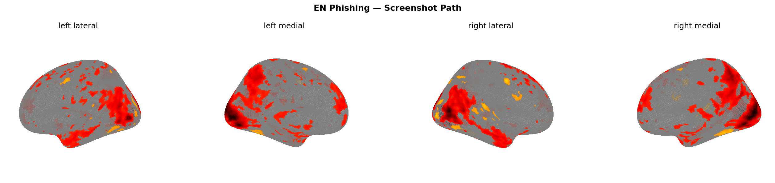Phishing screenshot brain map