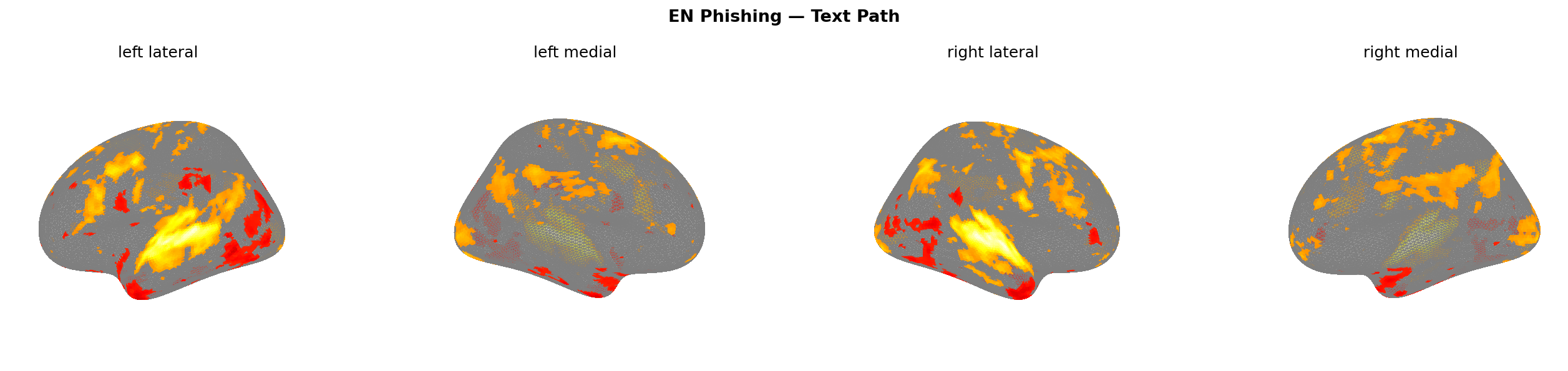 Phishing text brain map
